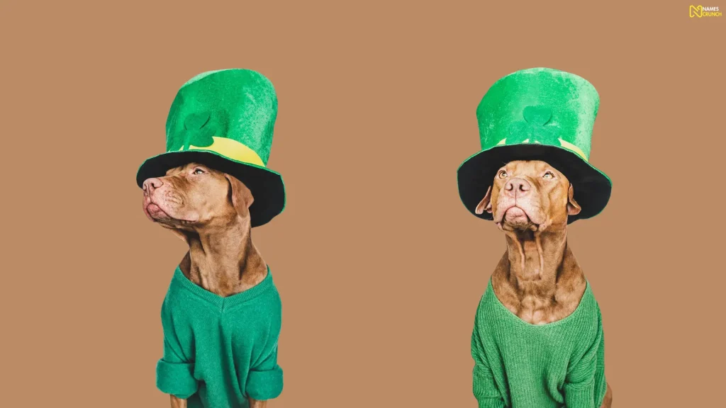 Funny Irish Dog Names