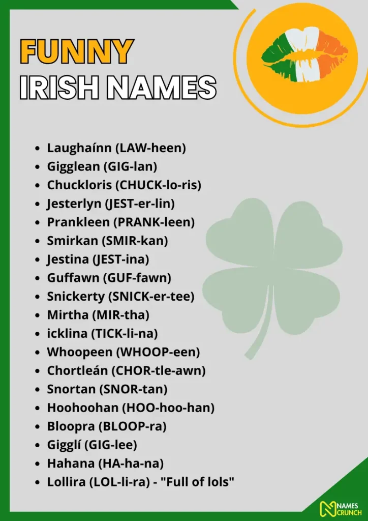 Funny Irish Names infographic