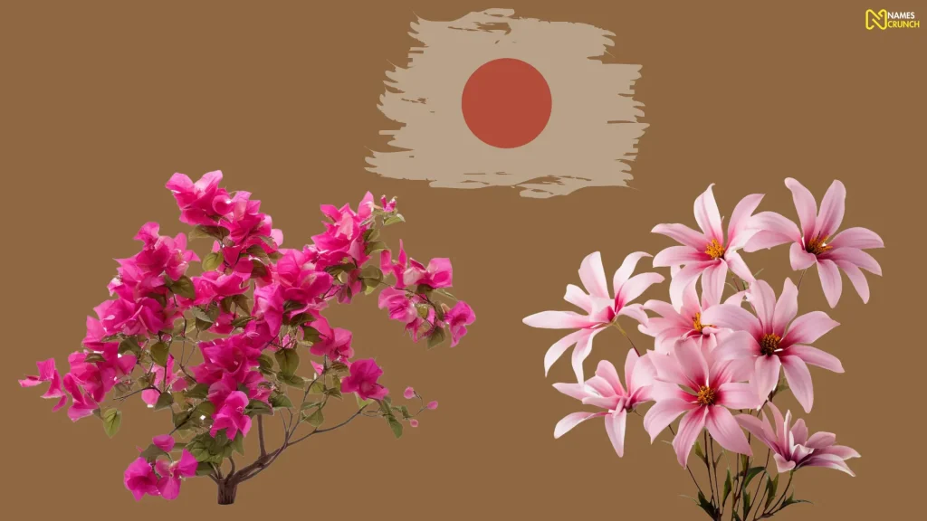Funny Japanese Names That Mean Flower