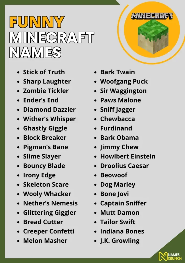 Funny Minecraft Names infographic