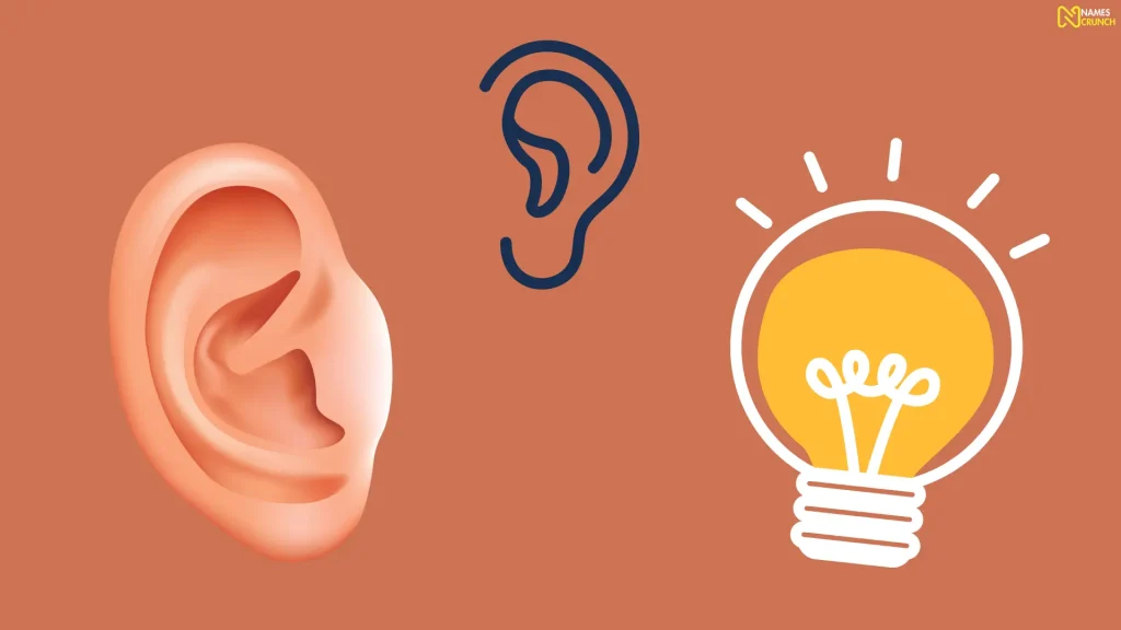 Funny Names for Ears Ideas List