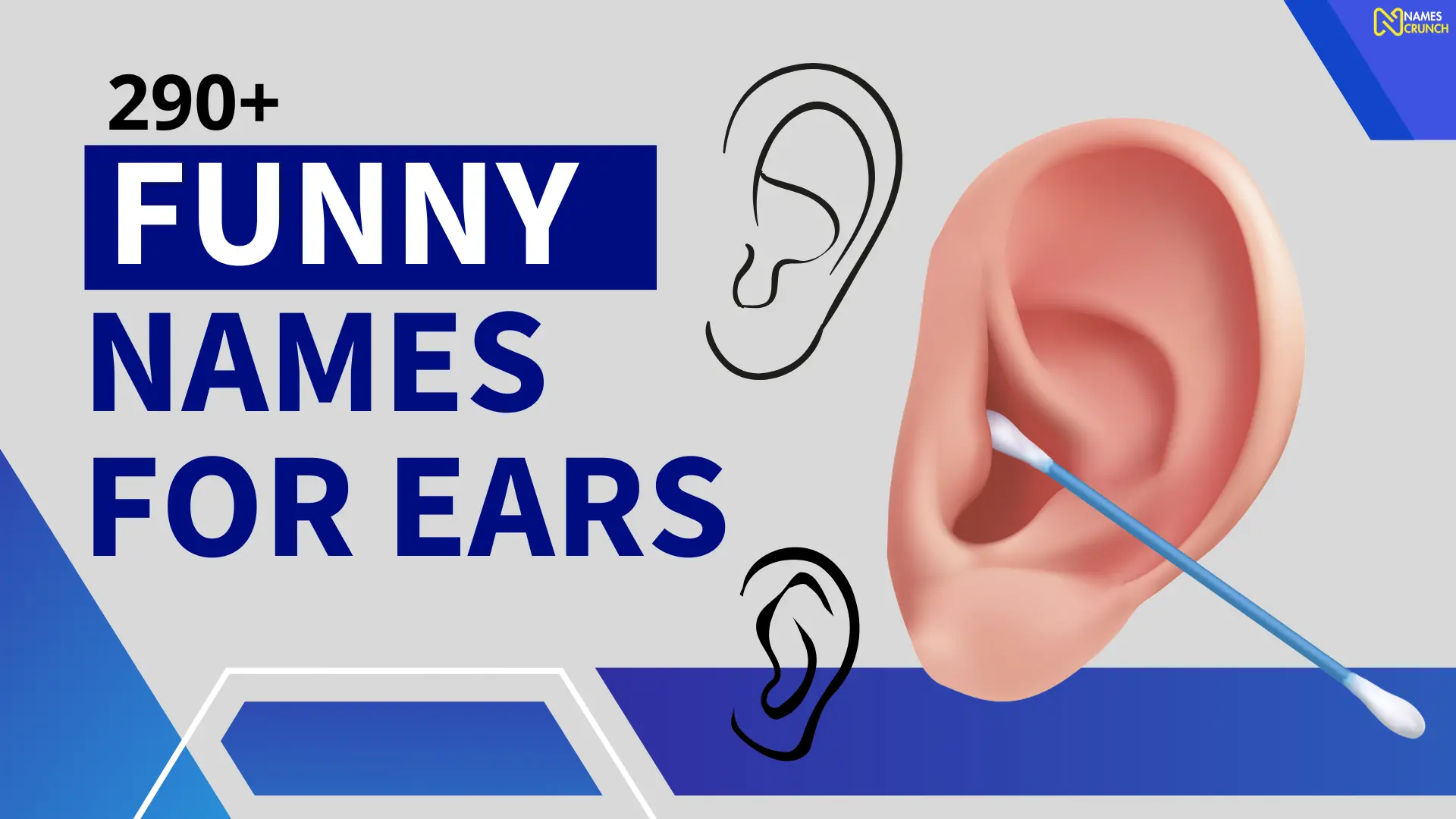 Funny Names for Ears