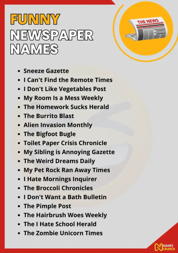 Funny Newspaper Names infographic