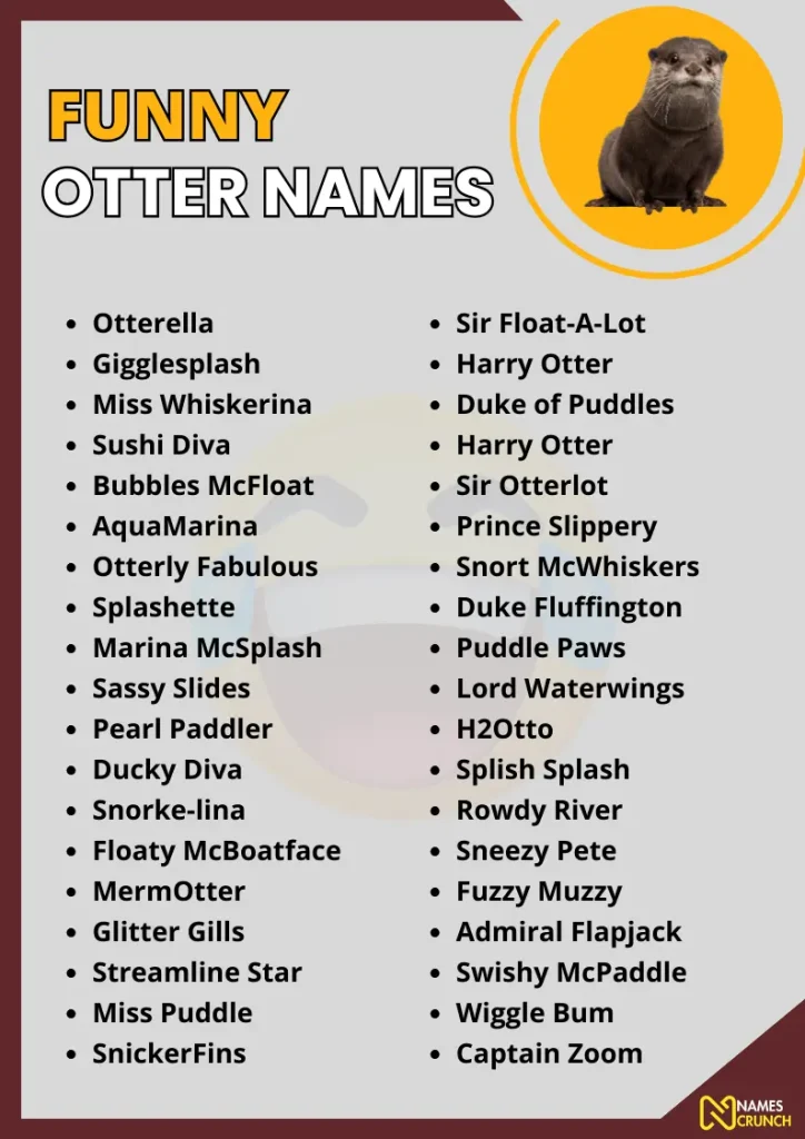 Funny Otter Names infographic