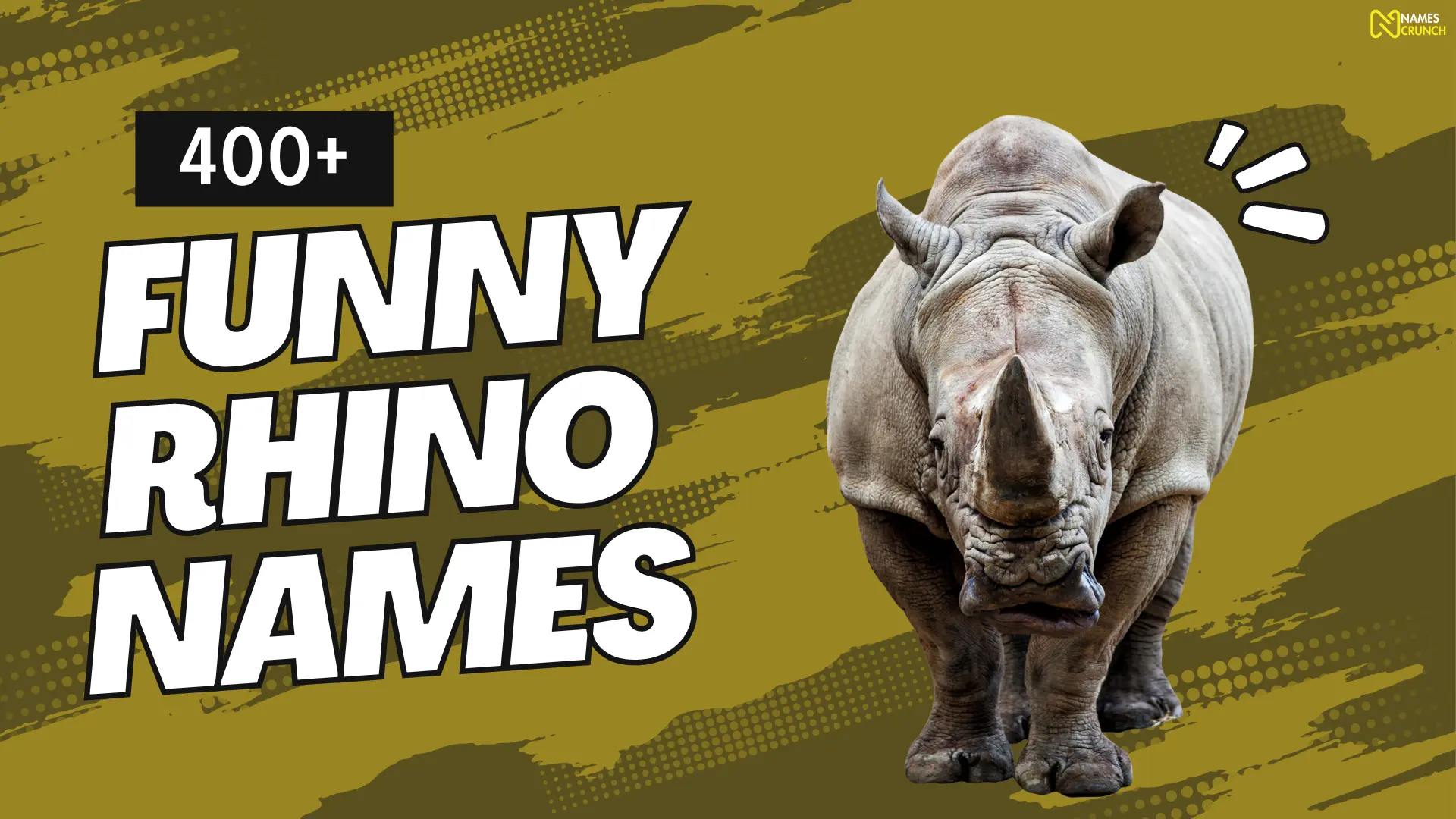 Funny Rhino Names