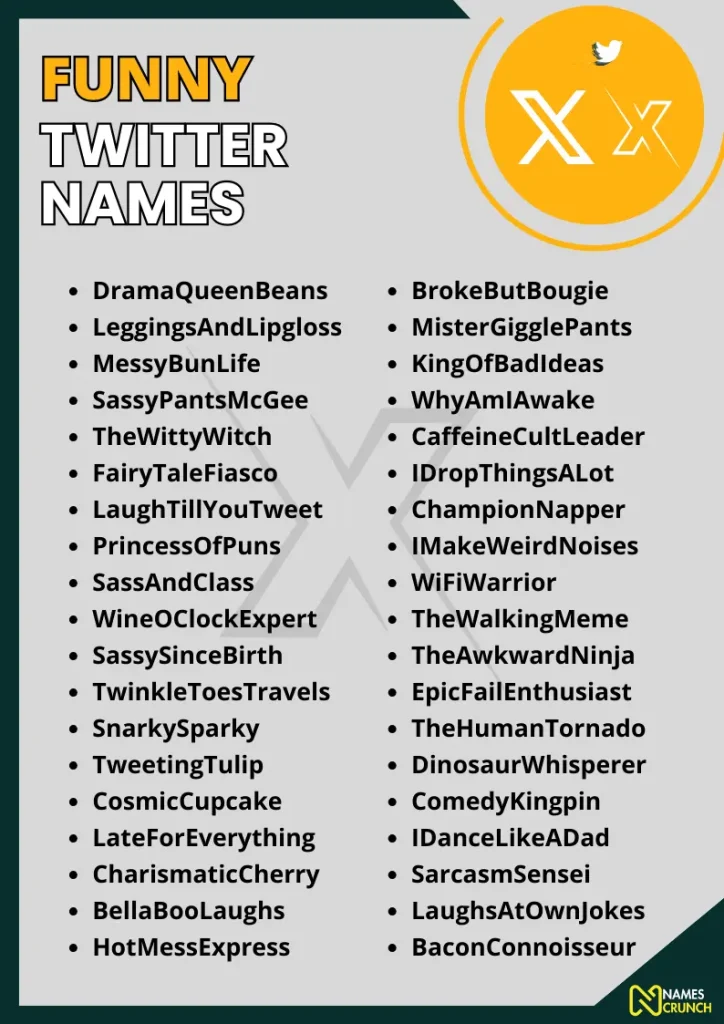 Funny Twitter Names infographic