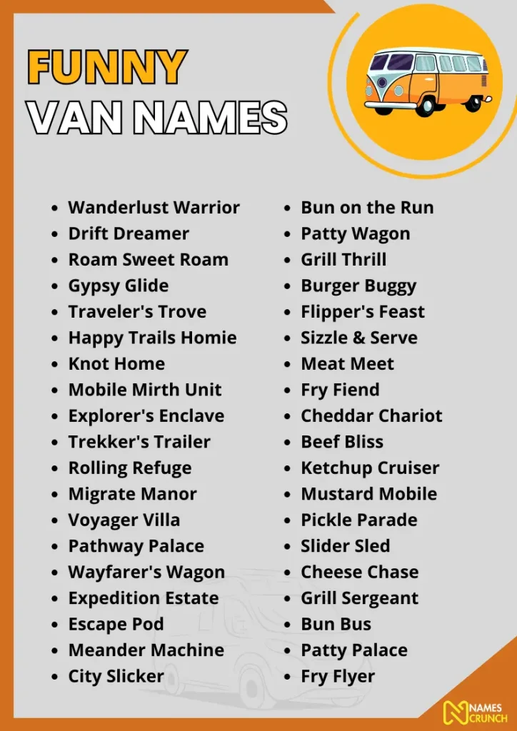 Funny Van Names infographic
