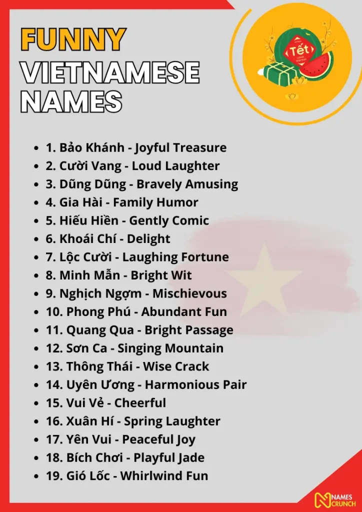 Funny Vietnamese Names infographic