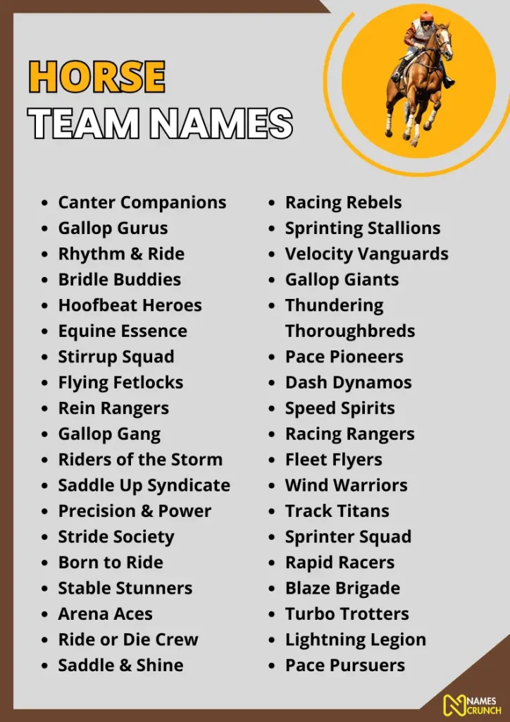 Horse Team Names infographic