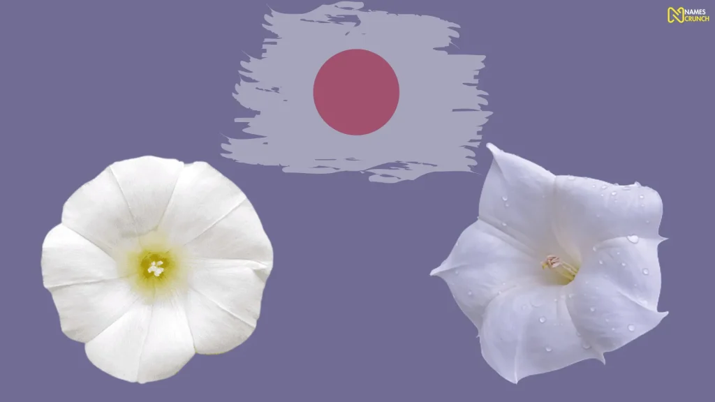 Japanese Names That Mean Moon Flower