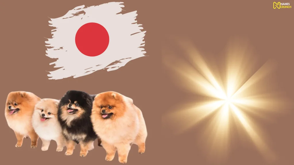 Japanese Pet Names That Mean Light