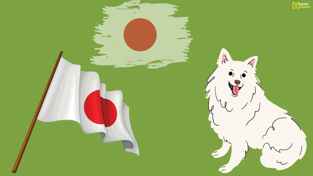 Japanese Pet Names That Mean Wind
