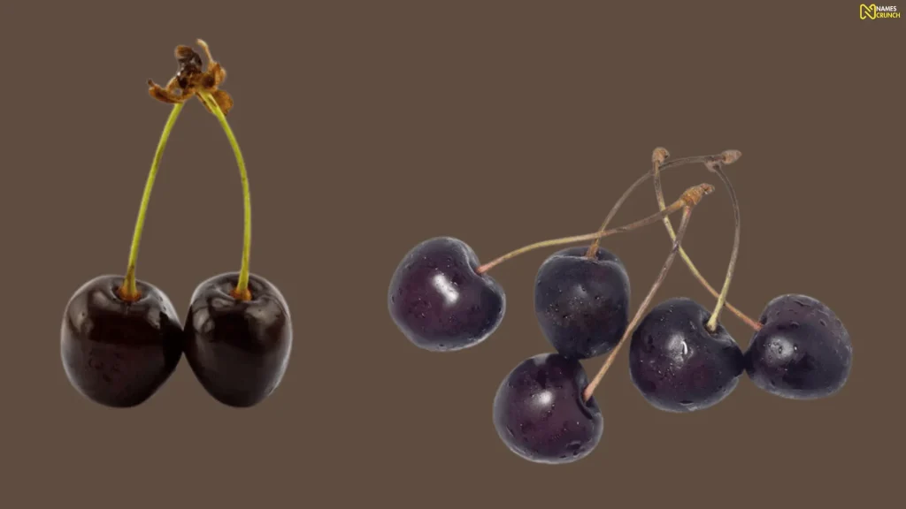 Black Cherry Nicknames