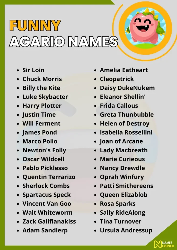 Funny Agario Names infographic