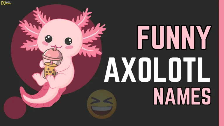 Funny Axolotl Names