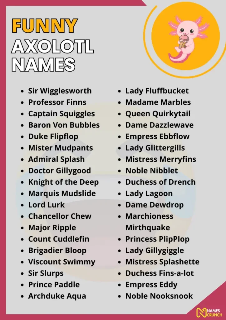 Funny Axolotl Names infographic