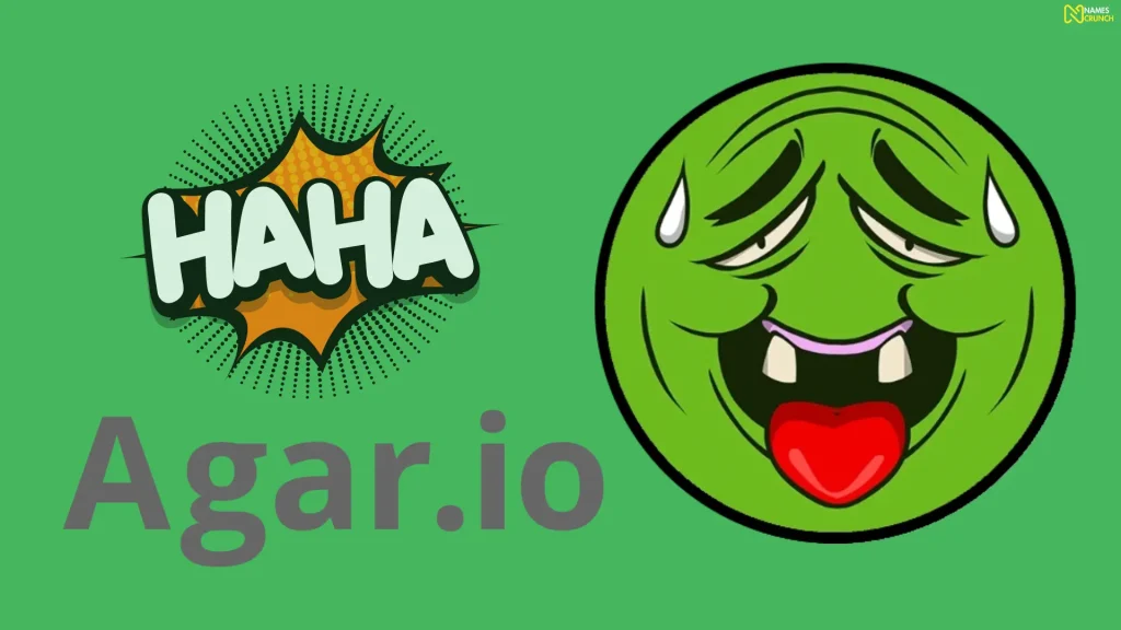 Funny Sweaty Agario Names