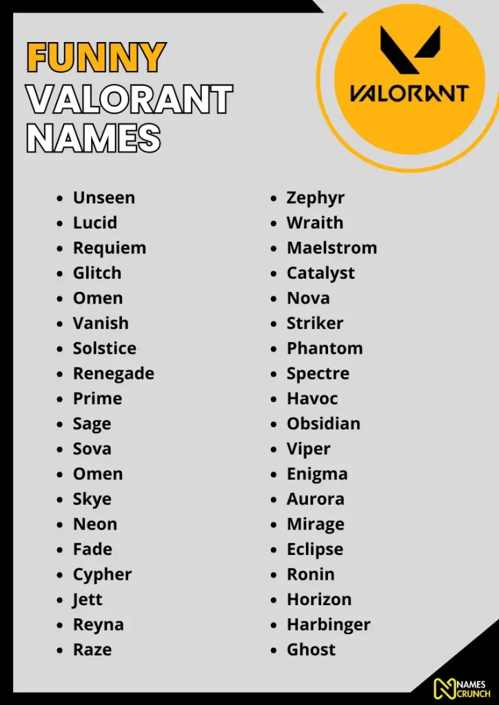 Funny Valorant Names infographic