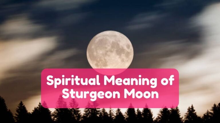 11 Spiritual Meaning of Sturgeon Moon & Symbolism