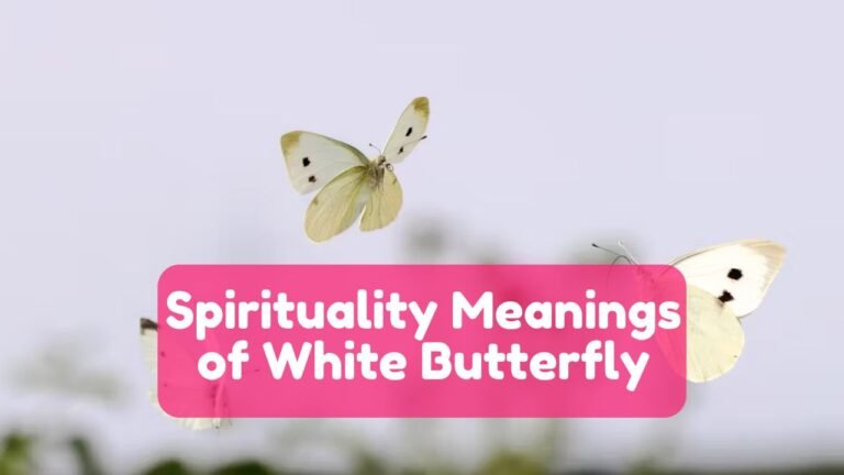 Spirituality Meanings of White Butterfly