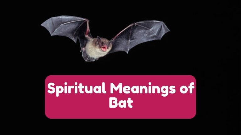 Bat Spiritual Meaning