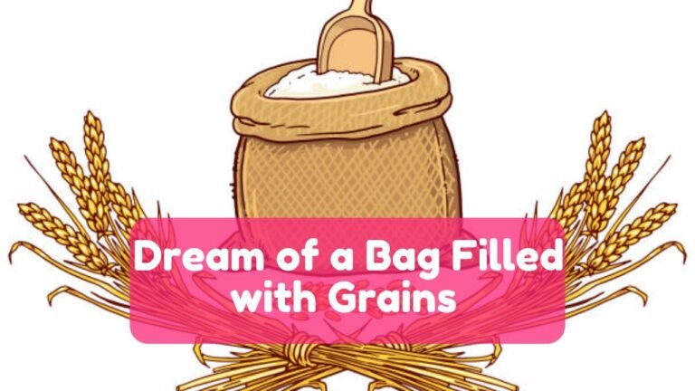 Bag Filled with Grains In Dream