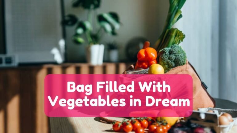 Dream Meanings of a Bag Filled with Vegetables