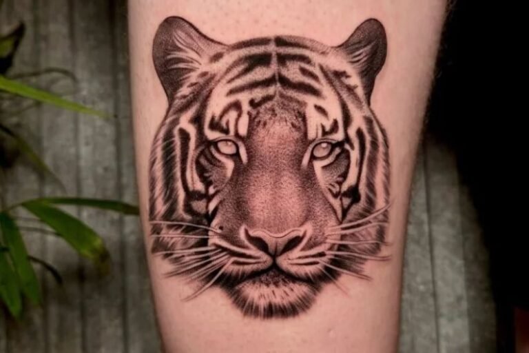 40 Tiger Tattoo Designs Ideas, Find Your Perfect Art