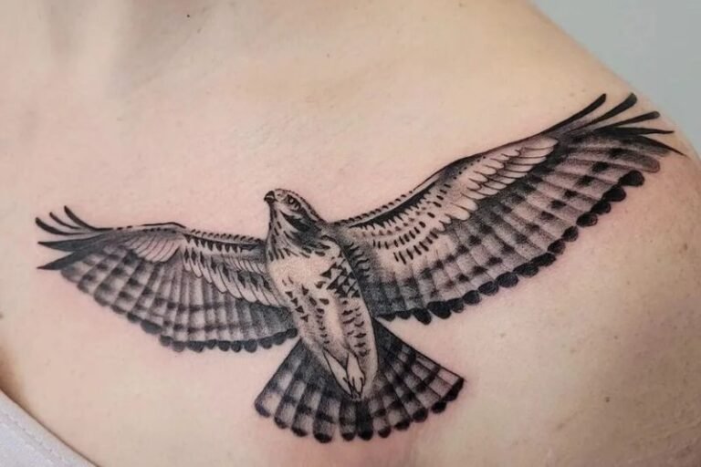 Hawk Tattoos Ideas