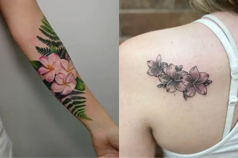 Beautiful Plumeria Tattoo Ideas